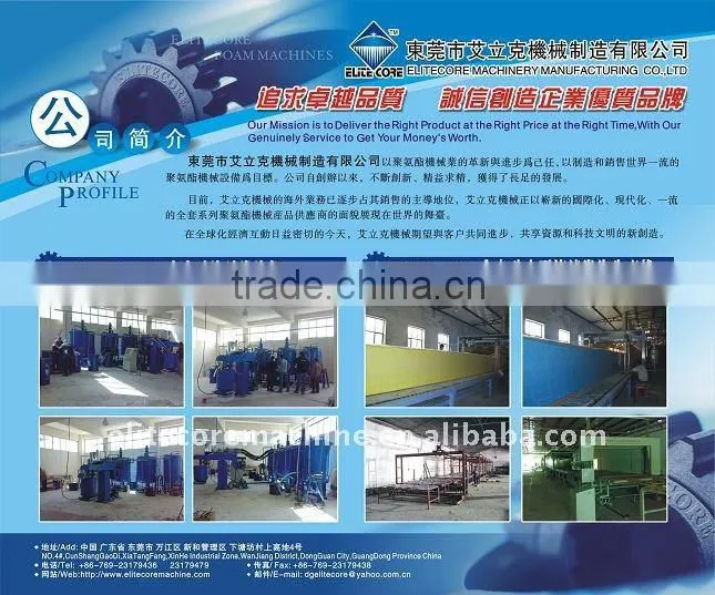 2013 Computer Quilting Machine/foam machine/sponge machine