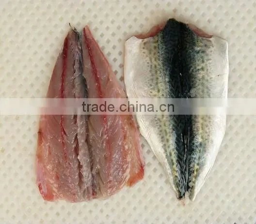 fresh frozen pacific mackerel fillet
