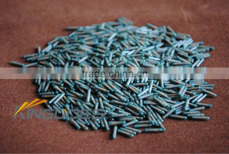 Smallest RFID Glass Tag