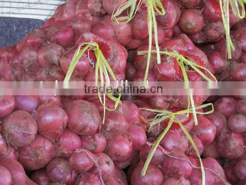 New and bulk crop onion