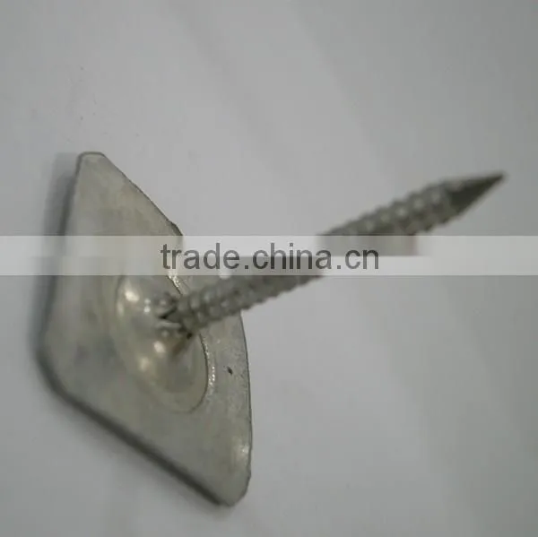 Metal square cap masnory nails