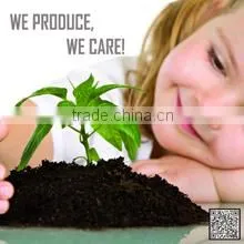 Nantong Victoria Import And Export Co., Ltd. company overview - view 1