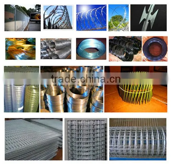 2x2 pvc coated welded wire mesh