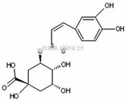natural Chlorogenic acid CAS: 327-97-9