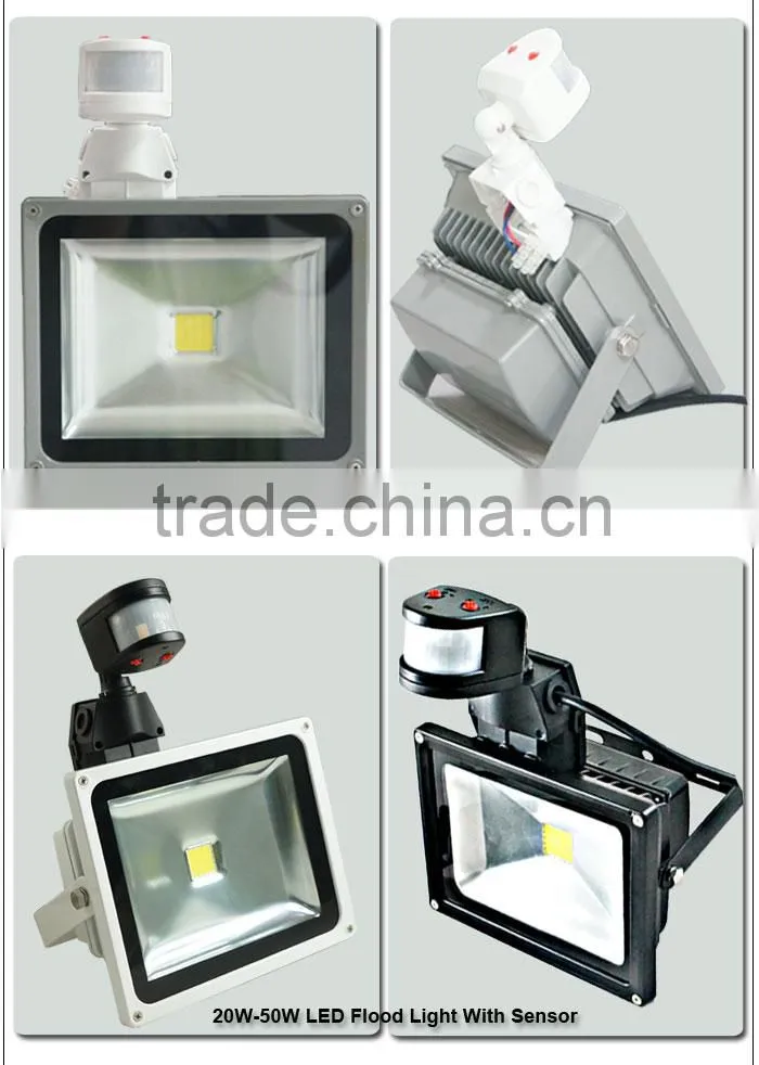 Promotion China Products IP65 RGB LED Floodlight With Motion Sensor