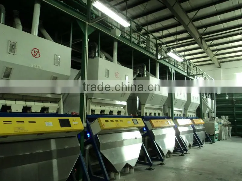 LONG WHITE RICE NEW CROP 2014 HIGH QUALITY