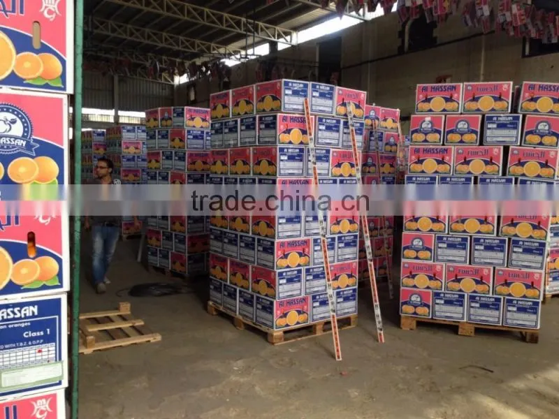 Pallets for Egyptian Oranges