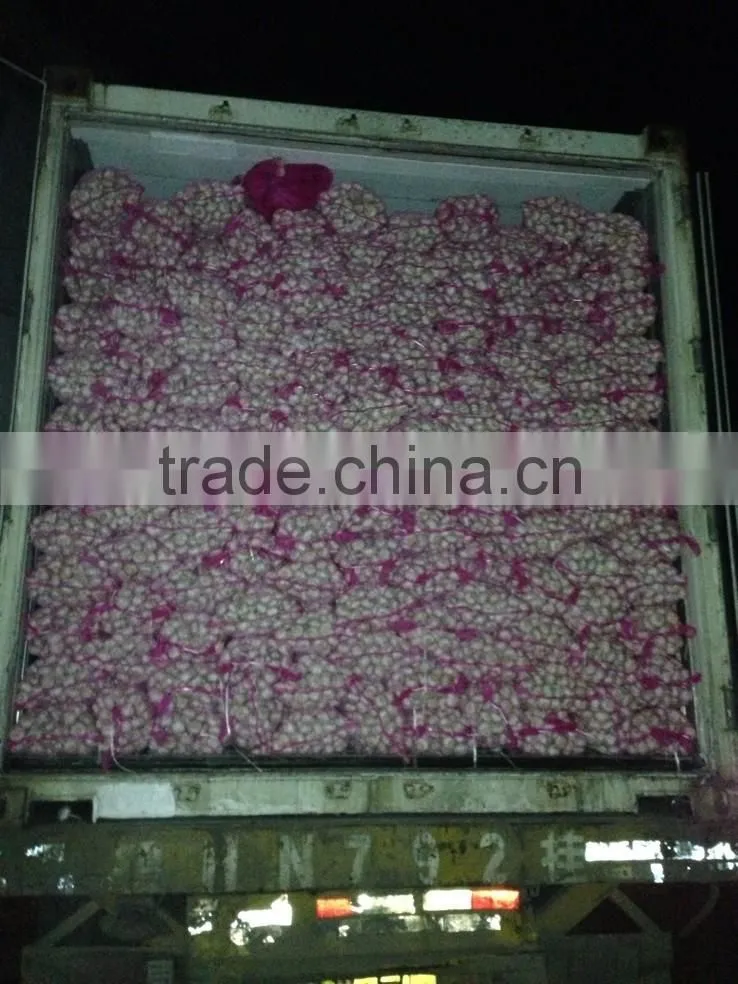 Garlic Dehydrated Manufacturers Garlic Flakes Air Dried White Dried Garlic Flakes from Factory Low Price Garlic Sliced