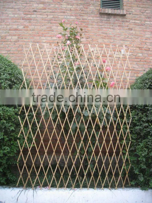 willow trellis