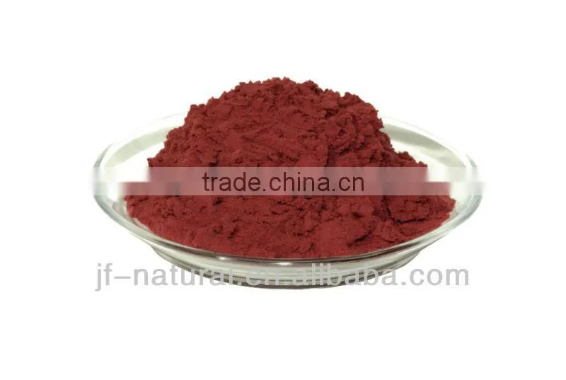 natural red date powder ISO, GMP, HACCP, KOSHER, HALAL certificated.
