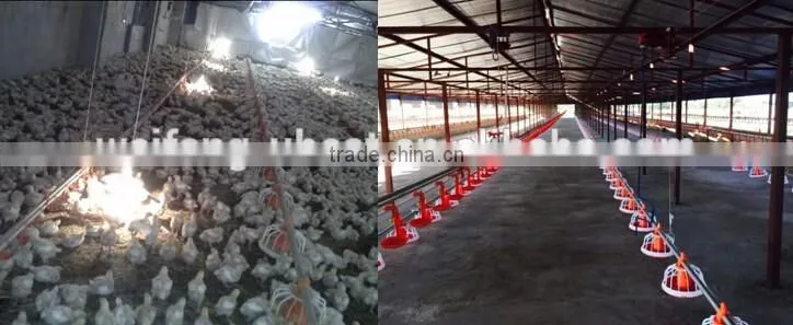 poultry house farm shed ventilation exhaust cooling poultry fan