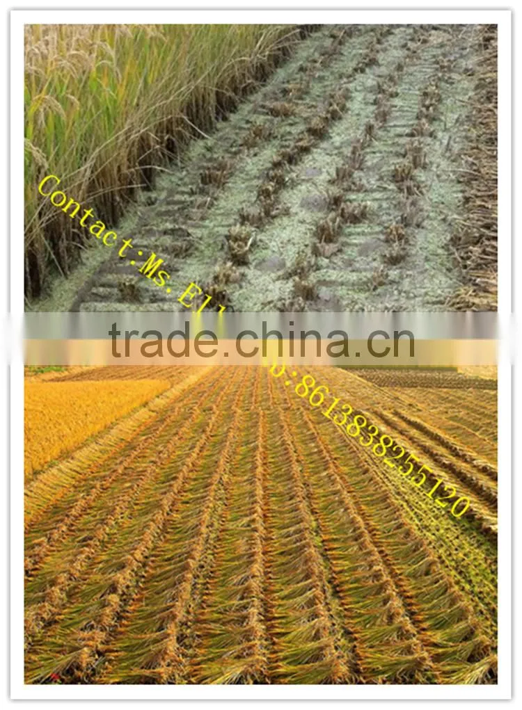 hand push wheat reaper binder machine wheat reaper binder