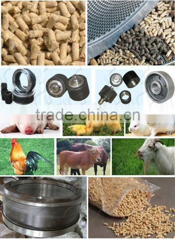 Animal feed production line