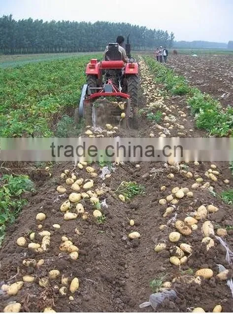 MAYJOY Professional Peanut/Groundnut harvester (Skype:mayjoy61)