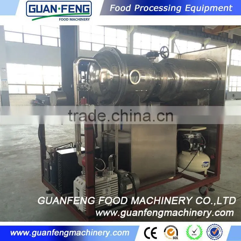 Professional Fruit Lyophilizer Equipment Industrial Lemon Drying Machine