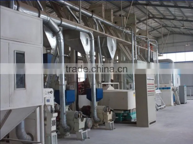 Prefessional Automatic Cold Press Almond Oil Extracton Machine