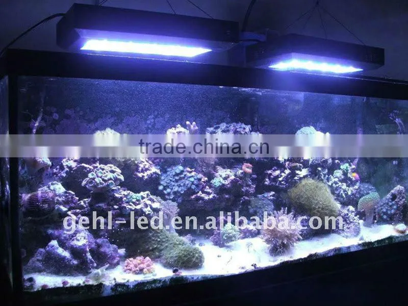fish tank 55x3w led aquarium light for marine &coral reef