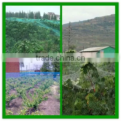 agricultural invisible plastic hdpe bird nett for tree