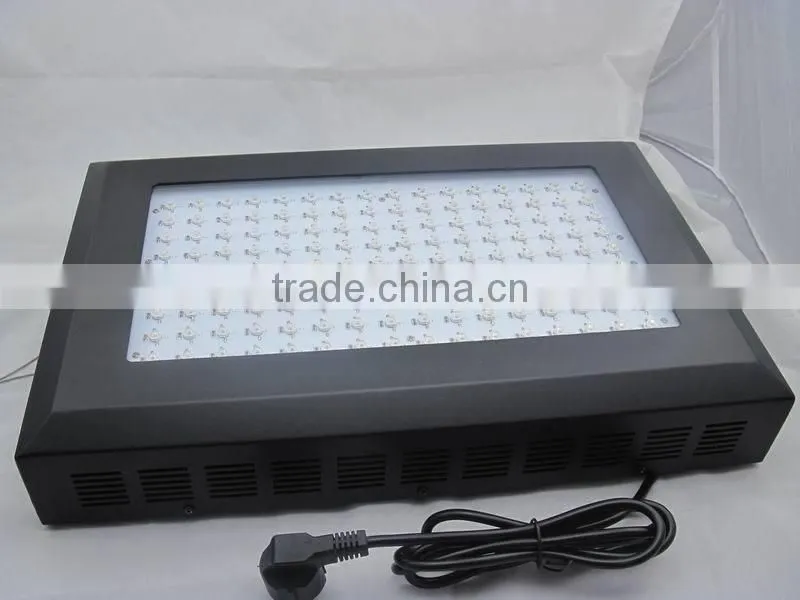 Best Led Grow Lights For Indoor Plants 300w Grow Light Led Cob For Orchid