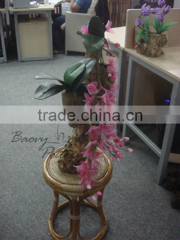 Vietnam wooden planter, Planter from tree root (from top)