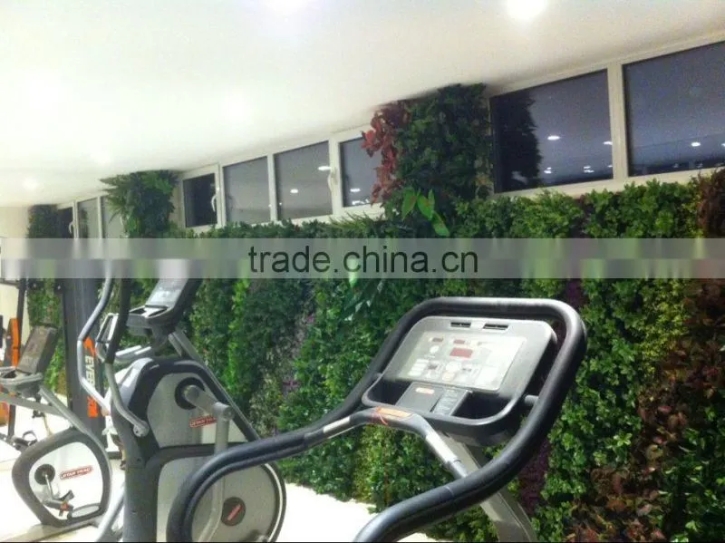 Artificial green wall for gymnasium