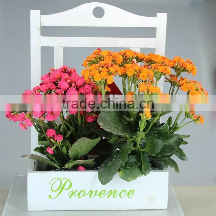 Wooden Hanging Garden Fflower Pot for Planting