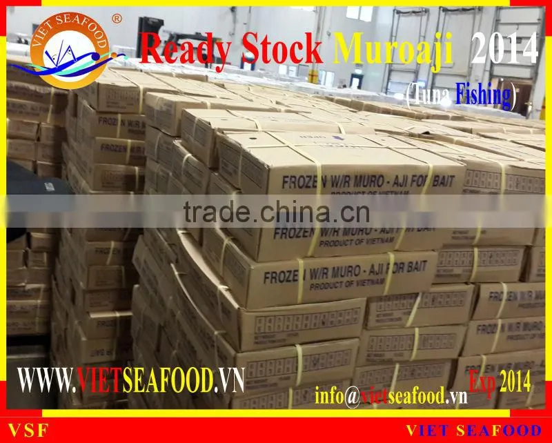 READY STOCK FOR SUPPLY MUROAJI FOR TUNA BAIT