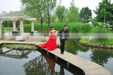 3D stereo Photographic system for lenticular picture