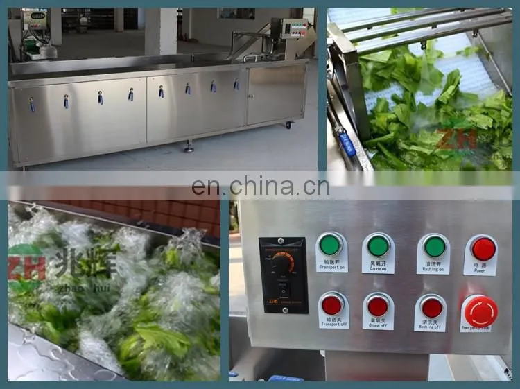 Commercial Stainless Steel Ozone Bubble cabbage Vegetable Washing Machine