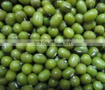 China Green Mung Bean organic