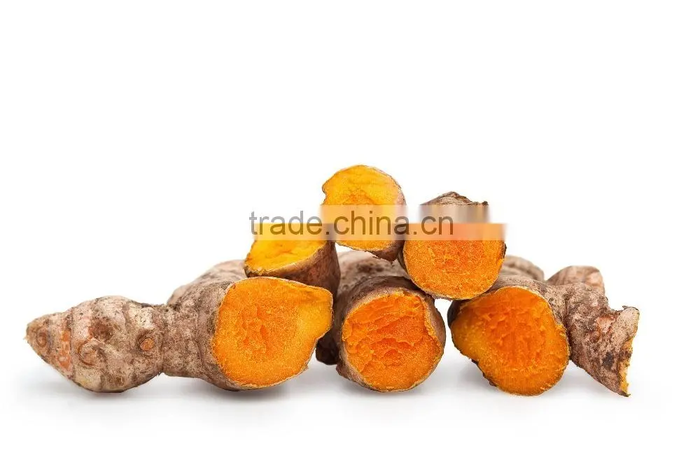 Best price Fresh Turmeric Root from Vietnam