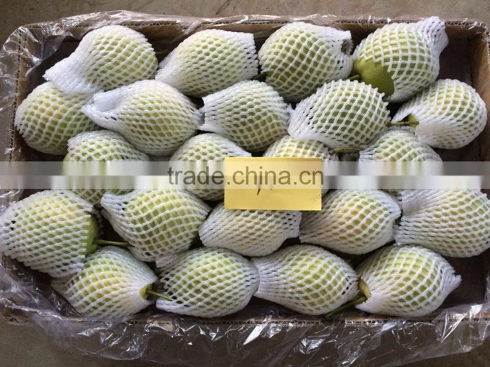 Good Qulity Fresh Shandong Pear Export To India