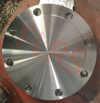 ps124070438-6_inch_forged_stainless_steel_pipe_blind_flanges_astm_a182_f316_asme_b16_5