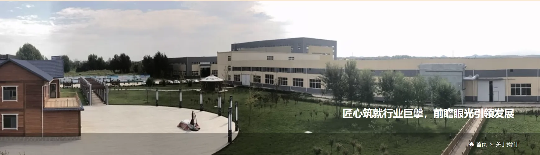 Shandong Dingchi Wood Group Co., Ltd company overview - view 2