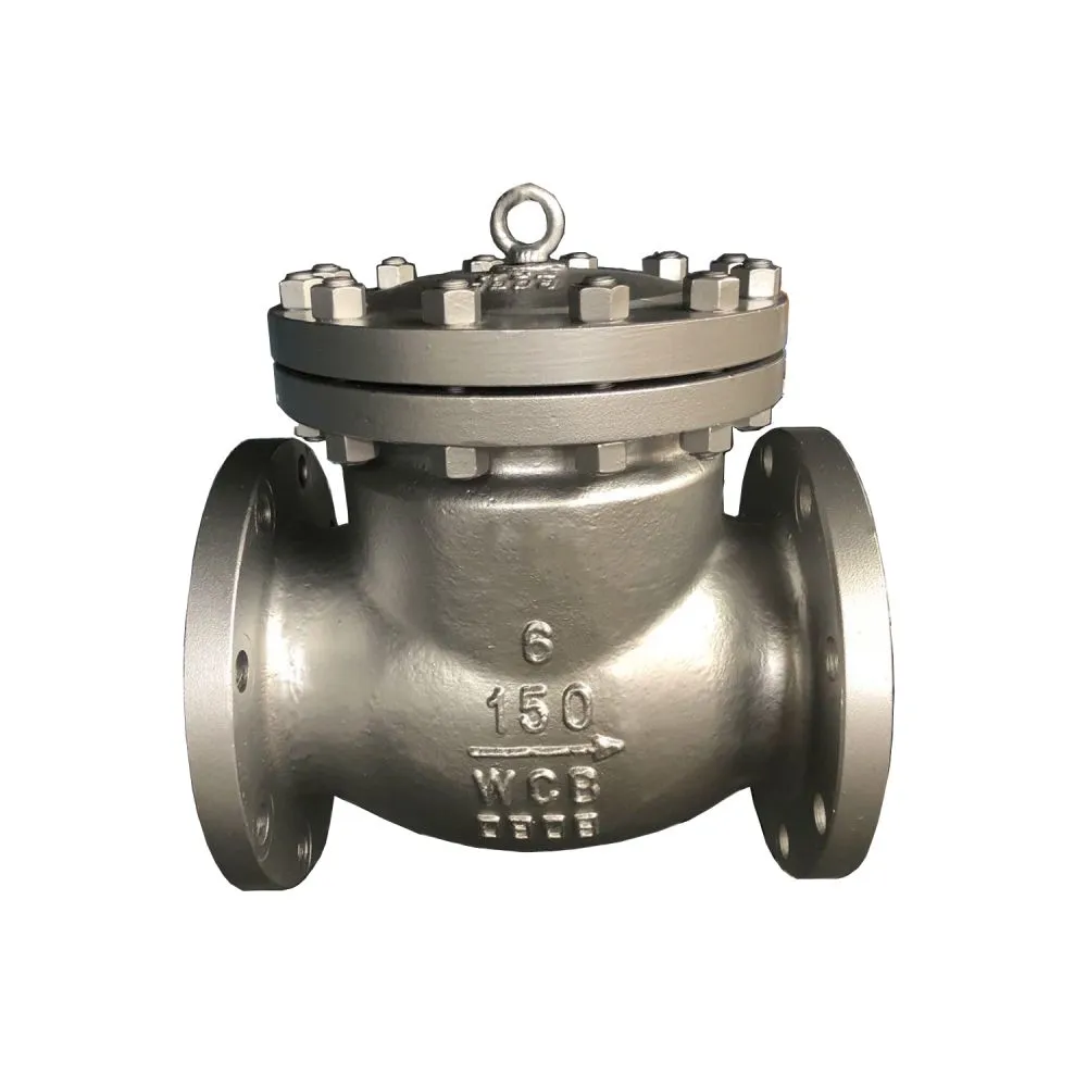 api check valve-1.jpg.webp