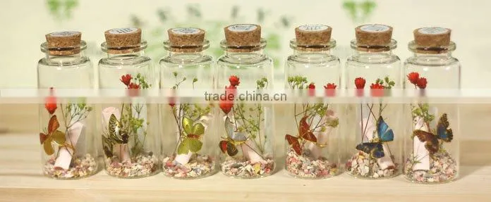 Nature & Love in Capsule