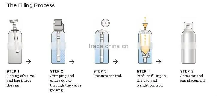 Bag on valve for aerosol products