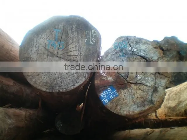 Big sale high quality round logs Kerung Laos wood