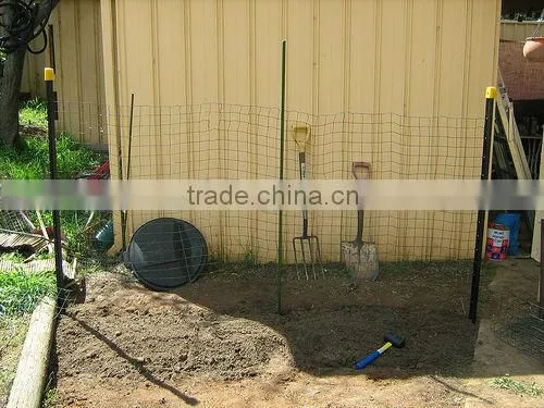 AU standard Black steel posts