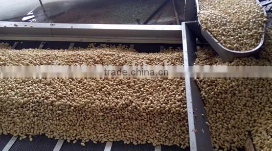 new products roasted and salted peanut