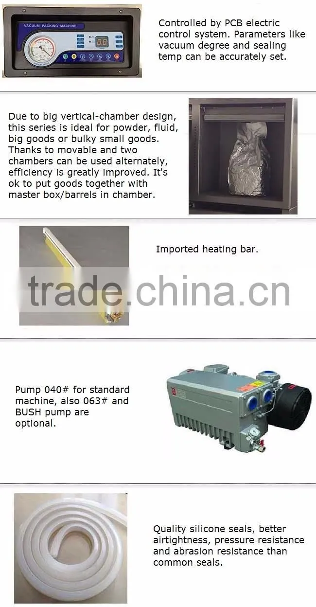 DZ-600YI Automatic vertical cabinet double chamber vacuum sealer packing machine for big bag