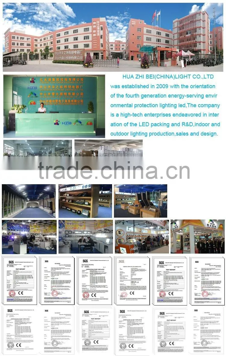 LED Filament Bulb ST64 8W Dimmable 12V LED filament lamp with high quality