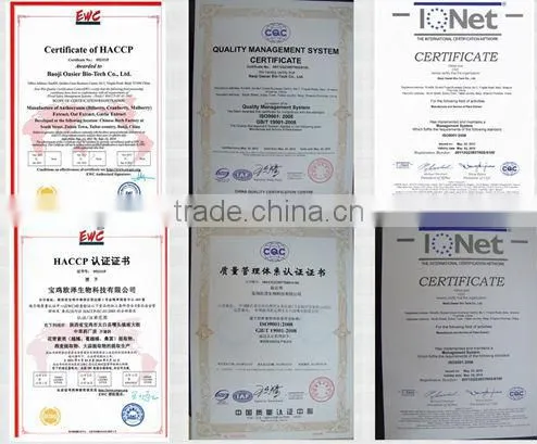 best factory supplier 100% Pure kelp extract Kelp Extract 4:1 Fucoidan 40%-95% HPLC/Kelp