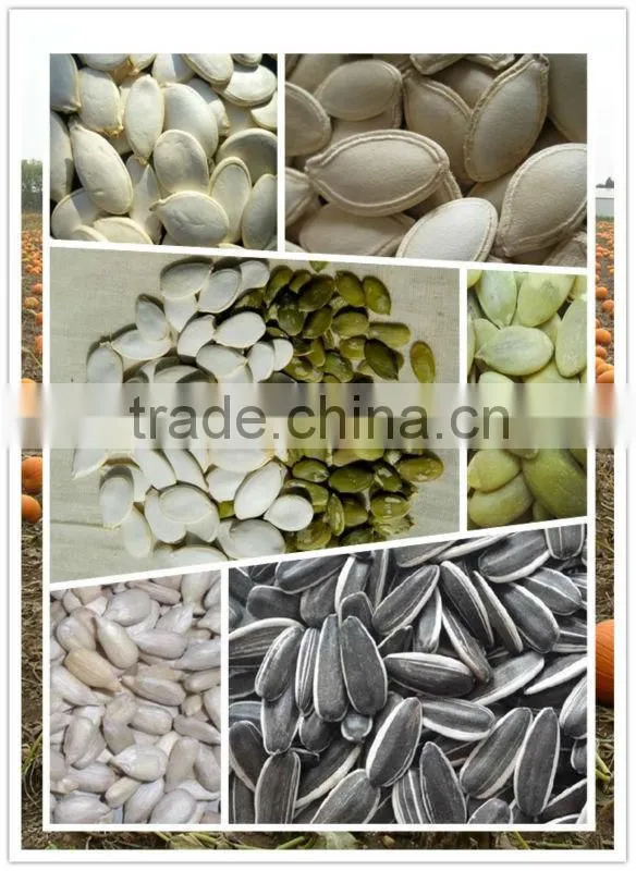 Chinese Snow White Pumpkin Seeds, Dried Pumpkin Seeds