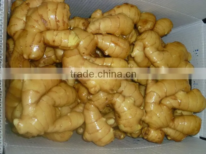 fresh ginger from China
