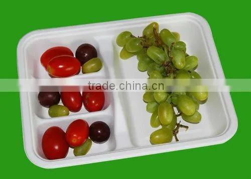 Hot selling best quality biodegradable disposable oven safe food container