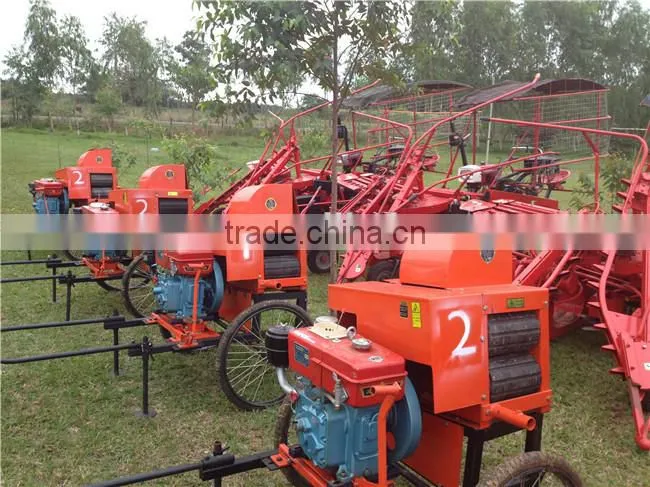 6BZ-5 sugarcane top removing machine/sugarcane top remover machine with top efficiency selling
