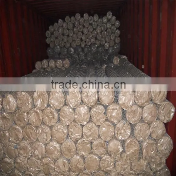 High quality Chicken wire mesh