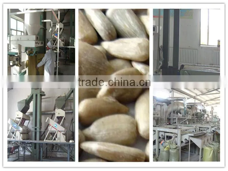 Oil Sunflower seed kernels (bakery grade)