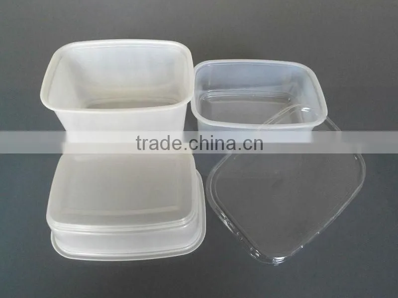 Disposable Plastic food container with lid